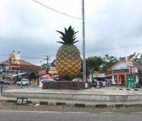 Sejarah Tugu Nanas Jalancagak Kabupaten Subang