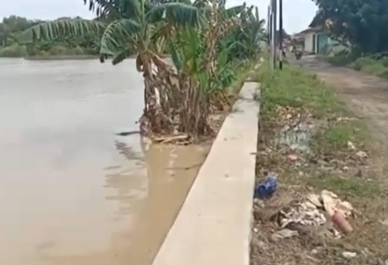 Rembesan air Sungai Cipunagara di Pamanukan