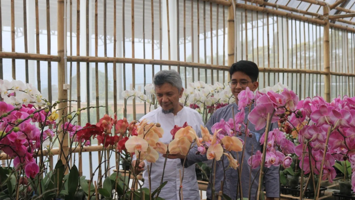 Land Of Wakaf Teras Lembang, Wisata Halal Berbasis Wakaf di Lembang