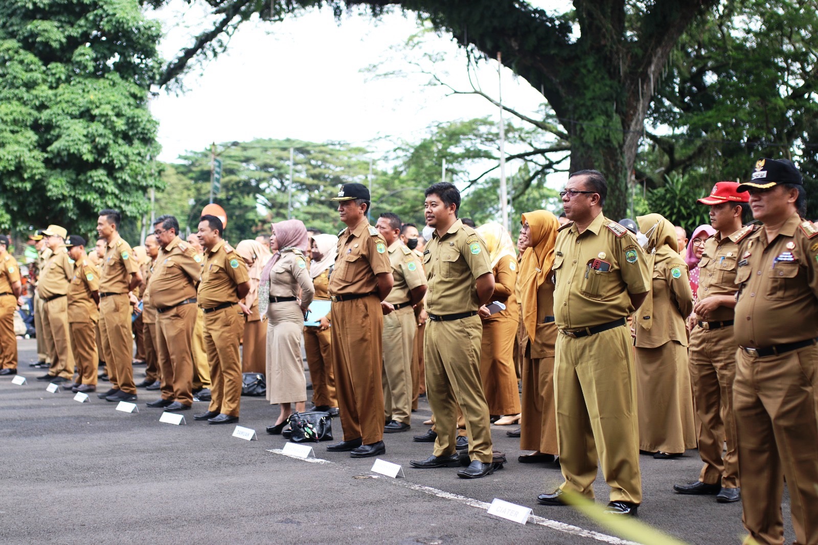 Pemerintah Resmi Buka Pendaftaran CPNS dan PPPK untuk September 2023