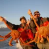 Fakta mengenai kepiting raja alaska