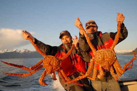 Fakta mengenai kepiting raja alaska