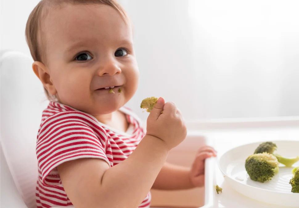 Baby led weaning