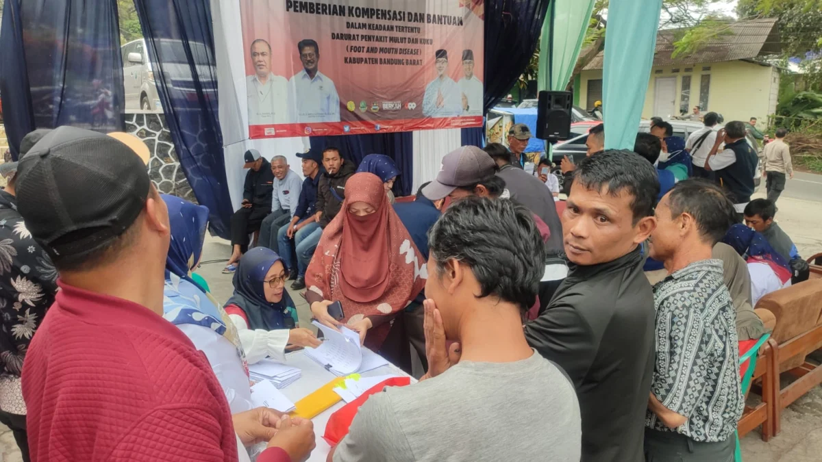 Peternak Sapi yang Terdampak PMK Dapat Ganti Rugi Rp 10 Juta Per Ekor