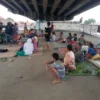 400 Rumah Warga Terendam Banjir, 30 Kepala Keluarga Mengungsi di Flyover Pamanukan 