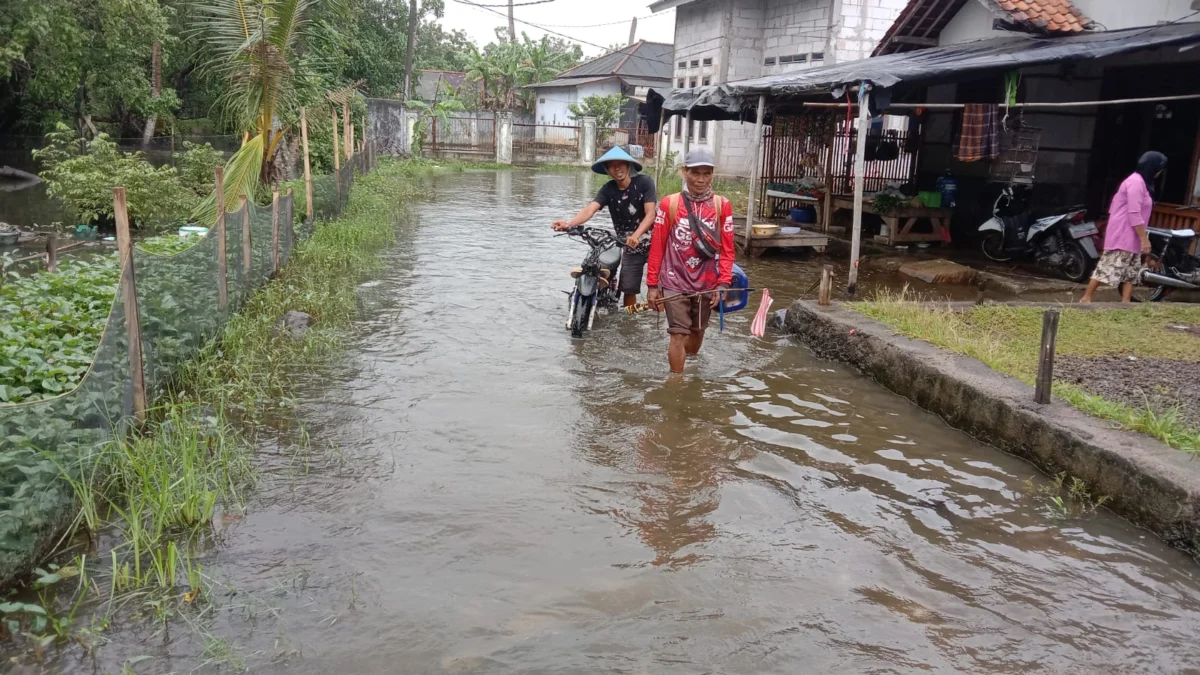 Dusun Langgensari di Pantura Subang Kembali Terendam Banjir 