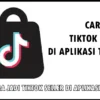 Cara Jadi Tiktok Seller di Aplikasi Tiktok