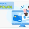 Joki Pinjol Ilegal