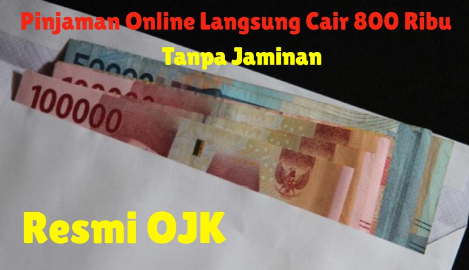 Pinjaman Online Langsung Cair 800 Ribu Tanpa Jaminan Aman dan Terpercaya Resmi OJK