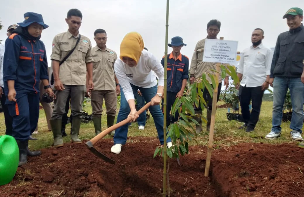 Ibu Negara Apresiasi Pemprov Jabar, Atalia Ridwan Kamil Kampanyekan Tanam Pohon Buah Pemprov Jabar
