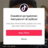 Mau Tau Apa Itu TikTok Web, Baca Disini!