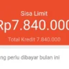 Cara Menaikkan Limit Shopee Pay Latter 2023