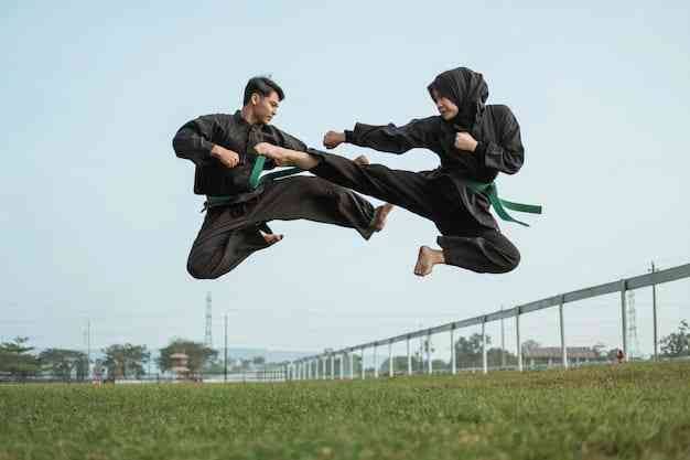 Pembumian Seni Bela Diri Pencak Silat