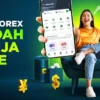 Aplikasi Trading Forex Terpercaya OJK Terbaik, Ini Daftarnya!