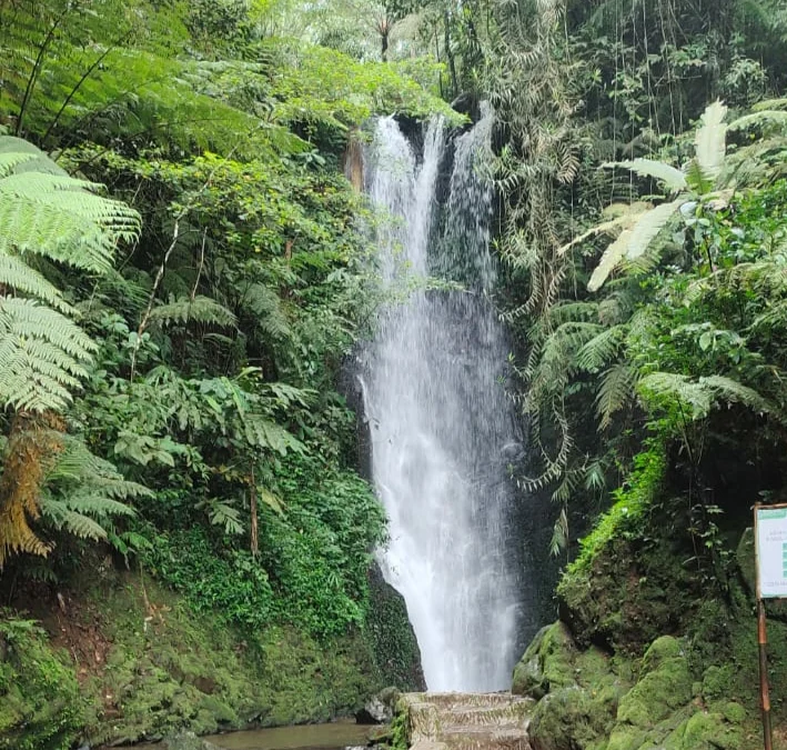 Setelah Sibuk Bekerja, Waktunya Piknik ke Curug Sadim di Panaruban Subang