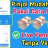 Pinjaman Online Ilegal Cepat Cair Tanpa Verifikasi Muka Terbaru 2023