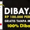 Game Penghasil Saldo DANA dan OVO Tanpa Iklan, Terbukti Dibayar Semua Nih 100 Ribu/Perhari