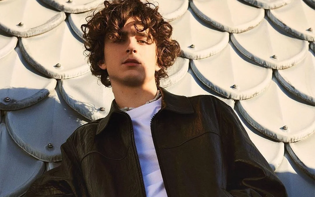 Biodata dan Profil Timothee Chalamet, Pacar Baru Kylie Jenner