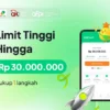 pinjaman online 300 ribu langsung cair