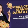 Cara Transfer Dana ke Ovo, Kamu Belun Tahu? Berikut Cara Tercepat dan Termudah!