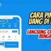 Cuma 5 Menit, Cara Meminjam Uang di DANA Langsung ke Rekening