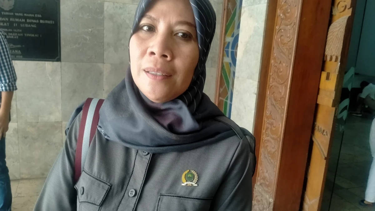 Anggota DPRD Ingin Kehadiran BUMD Ada Manfaat untuk Masyarakat Subang