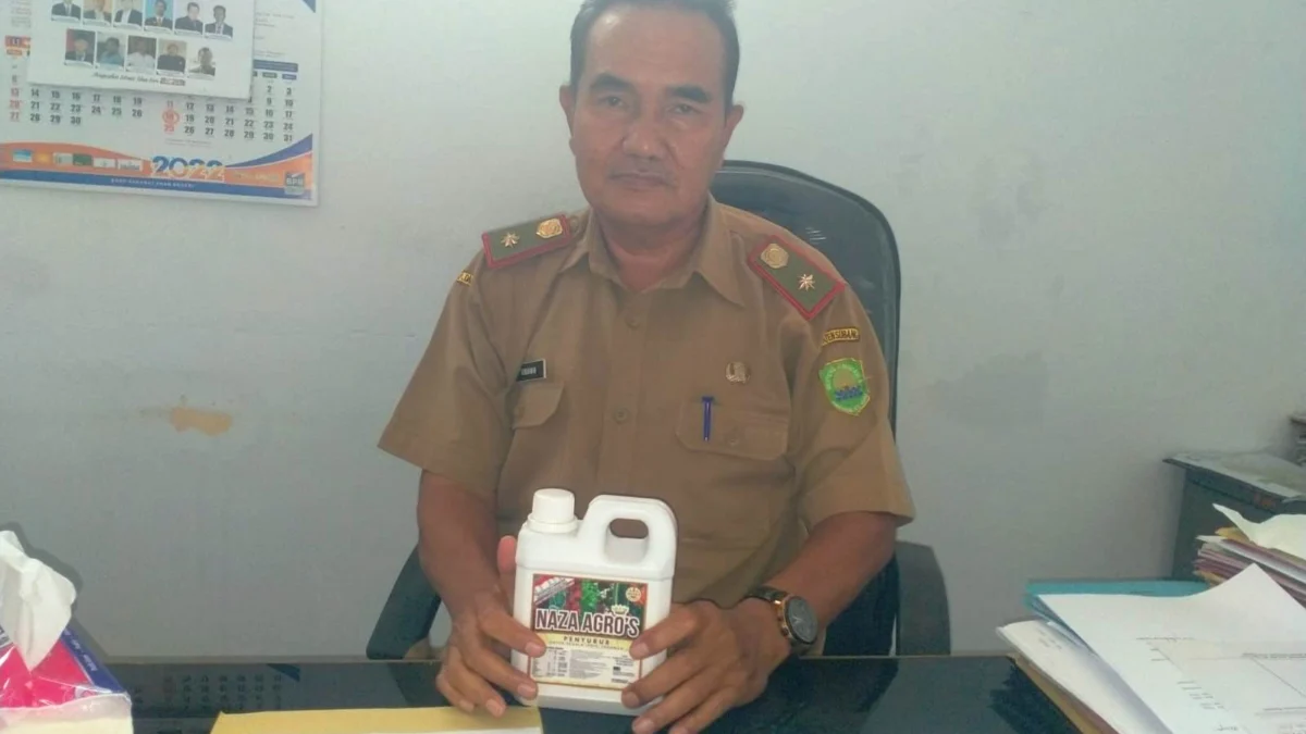 ditanami kedelai