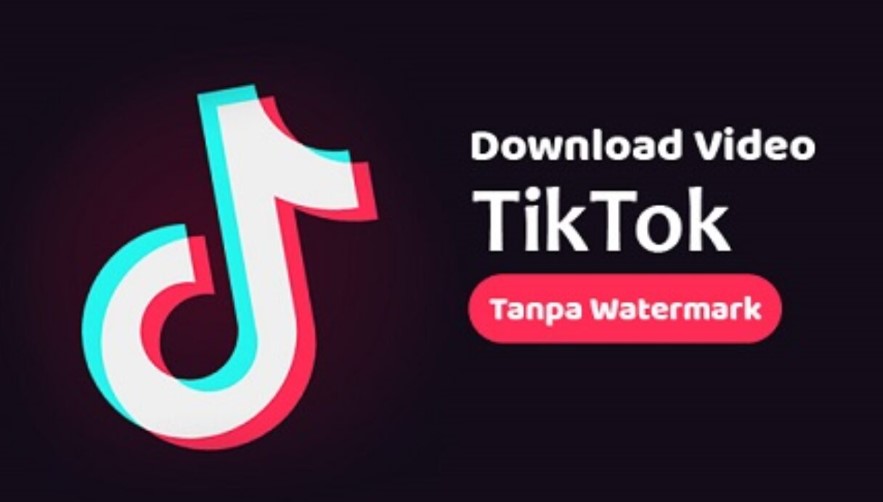 Cara Download Video Tiktok Tanpa Watermark di Google Terbaru 2023