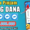 Cara Pinjam Uang Rp3 Juta di Dana 1 Menit Langsung Cair Terbaru 2023