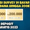 Aplikasi Survey Penghasil Saldo Dana 200 Ribu Secara Gratis Terbaru 2023