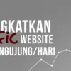 Bagaimana Cara Traffic Naik Terus Setiap Kali Ada Updte Aloritma Google?