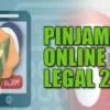 Pakai Data Busuk Langsung Cair! Pinjol legal Terbaru 2023!