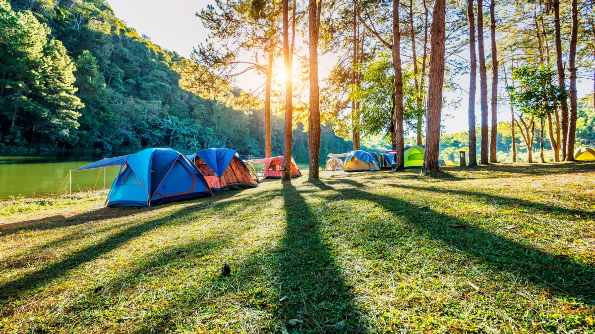 Tempat Camping di Bandung: Menyuguhkan Pemandangan Indah dan Udara yang Segar