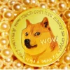 Logo Twitter Berubah Jadi SHIBA INU, Ini Arti Shiba Inu Sebenarnya (ilustrasi logo Dogecoin-Shiba Inu jadi Logo Twitter, via Unsplash-Kanchanara)