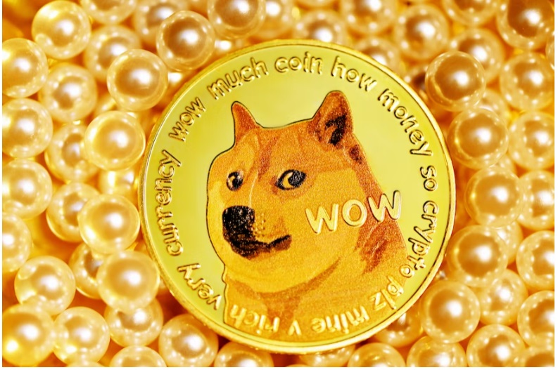 Logo Twitter Berubah Jadi SHIBA INU, Ini Arti Shiba Inu Sebenarnya (ilustrasi logo Dogecoin-Shiba Inu jadi Logo Twitter, via Unsplash-Kanchanara)