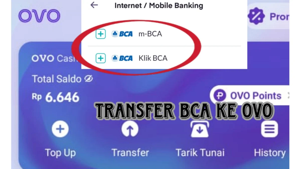 Gampang Banget! Begini Cara Transfer BCA ke OVO