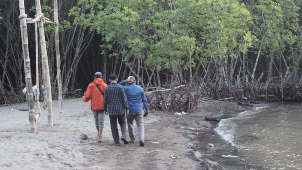 Melihat Ekowisata Mangrove Pulau Burung di Subang