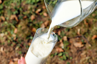 Apakah Minum Susu Beruang Sebelum Medical Check-Up Penting