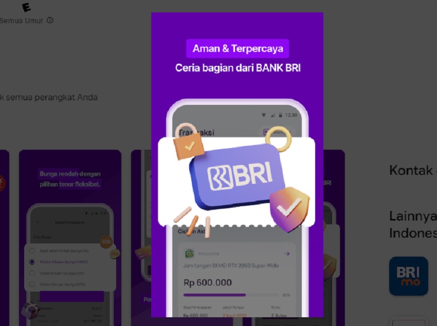 Pinjaman Online BRI Langsung Cair KTP, Bisa Ajukan Pinjaman Tanpa Jaminan Sampai Rp25 Juta (Via playstore)