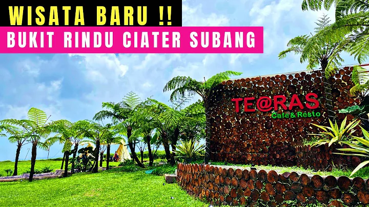 Teras Cafe, Healing Seru di Tengah Kebun Teh Ciater Subang