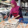 Harga Telur Ayam