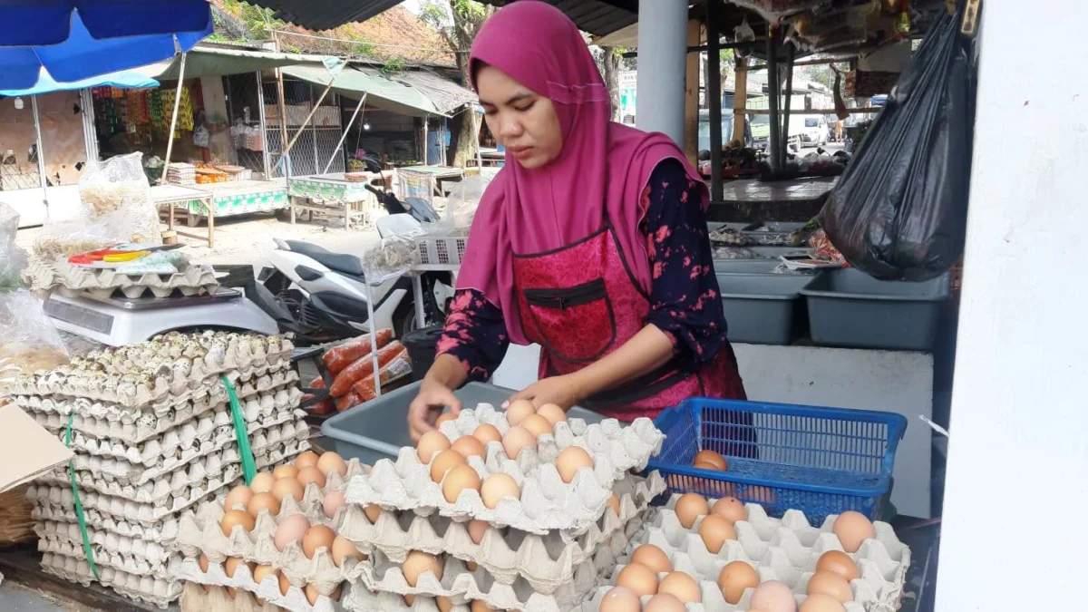 Harga Telur Ayam