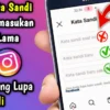 Lupa Kata Sandi IG? Ini Cara Mengubah Kata Sandi Instagram yang Lupa Kata Sandi Lamanya, 100% Pulih