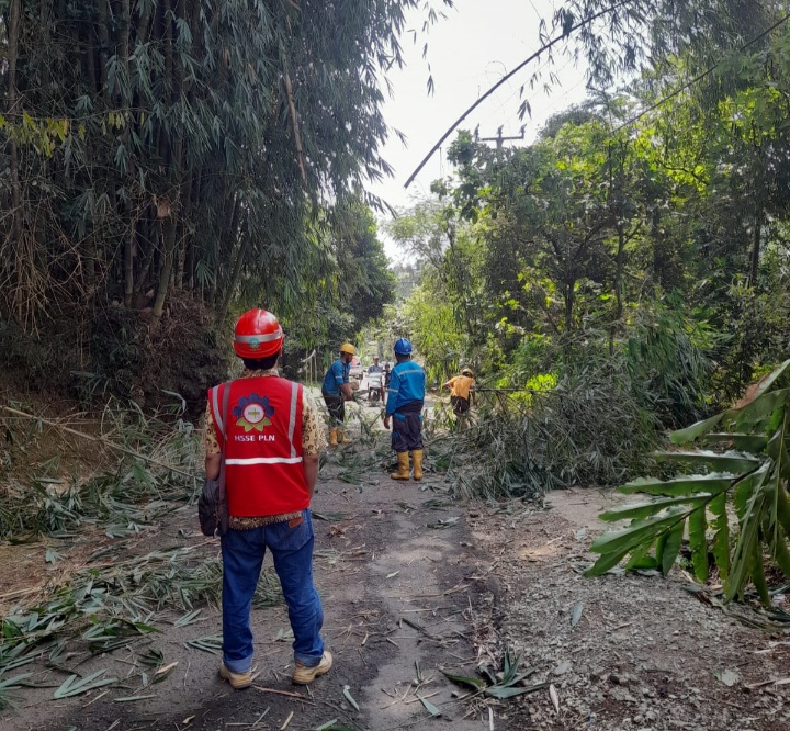 ROW. PLN UP3 Purwakarta melakukan aksi pembersihan jalur distribusi ROW (right of way). ADAM SUMARTO/PASUNDAN EKSPRES