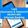 Jika Lupa Username Brimo