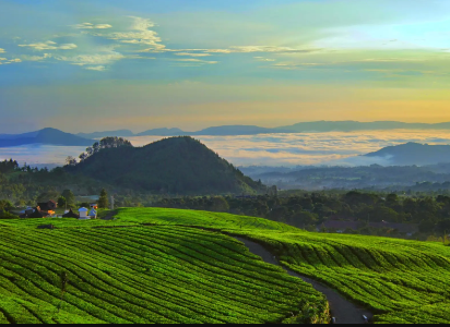 Daerah Subang Dengan Destinasi yang Beragam