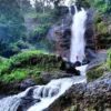 Tempat Wisata Curug di Subang yang Menakjubkan dengan Keindahan Alam yang Mempesona