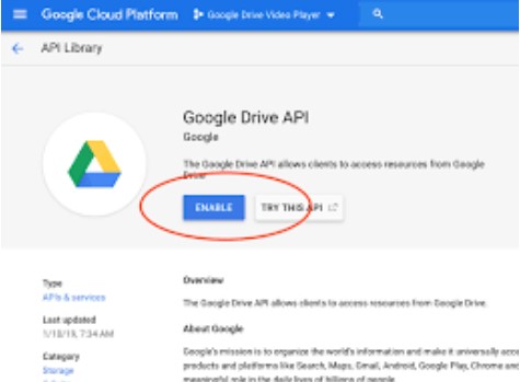 Google API Drive