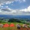 Camping Ground Pamoyanan Subang Lautan Awan, Nyesel Kalau Gak Kesini