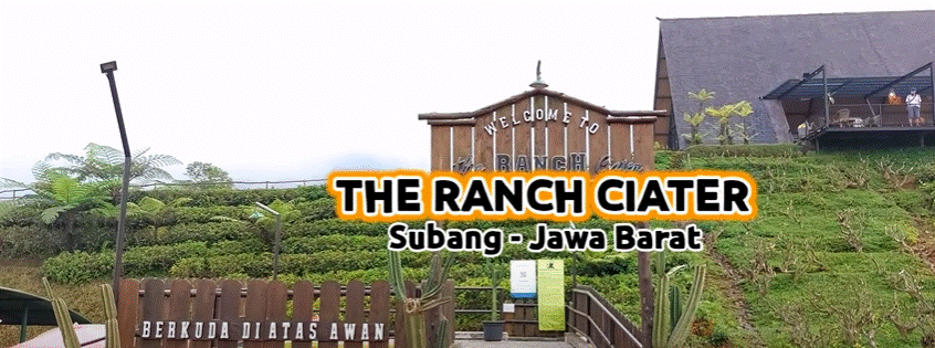 Tempat Healing Baru Lagi The Runch Ciater Subang, Setiap Hari Bisa Masuk Gratis